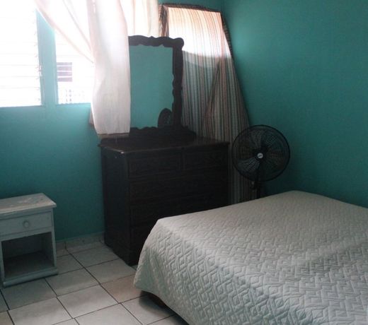 GUACAMAYOS LA CEIBA