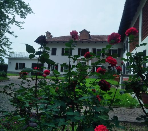 Casa Ramonda