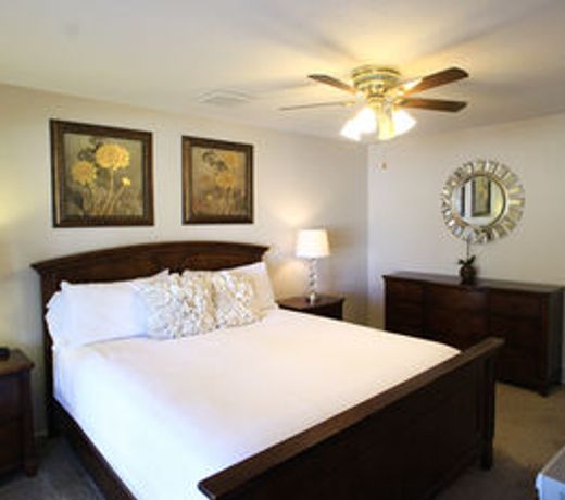 Tatum Gardens - 4 Bed Home - Scottsdale