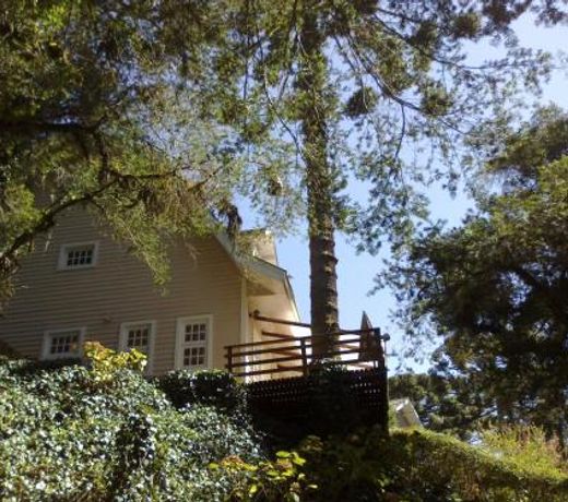 Forest Pine Inn