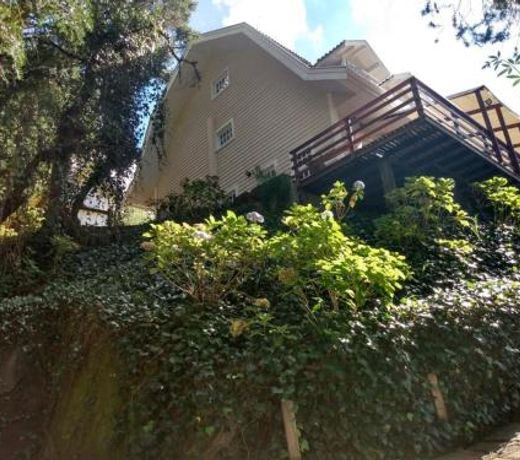 Forest Pine Inn