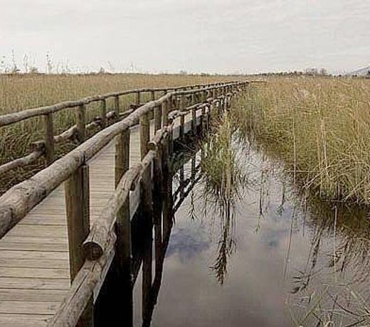 Vacanze a Viareggio