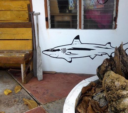 Paseo Del Mar Dive Resort
