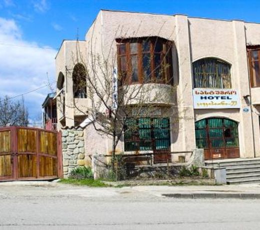 Guest House Kavkasioni 33