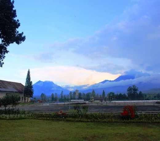 Arabica Hotel