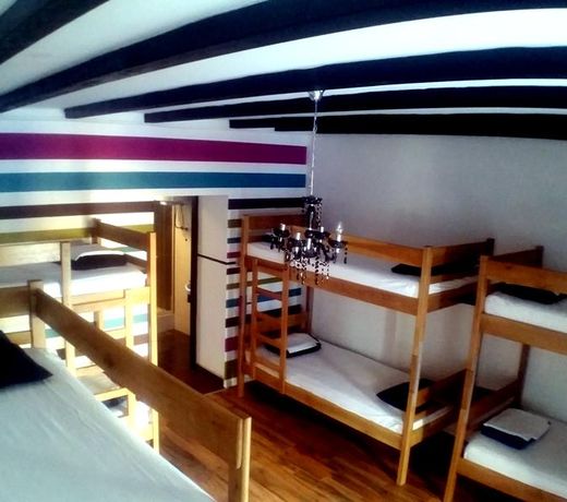 The Lazy Monkey Hostel & Apartments