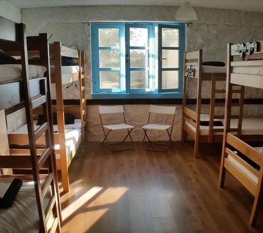 The Lazy Monkey Hostel & Apartments