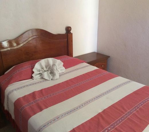 Hotel Plaza Baratillo