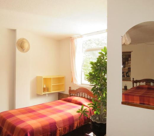 Hostel Plantas y Blanco