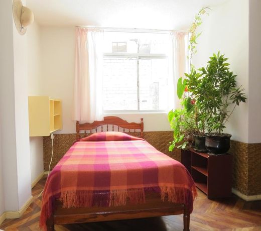 Hostel Plantas y Blanco