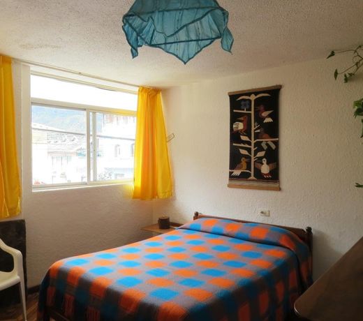 Hostel Plantas y Blanco