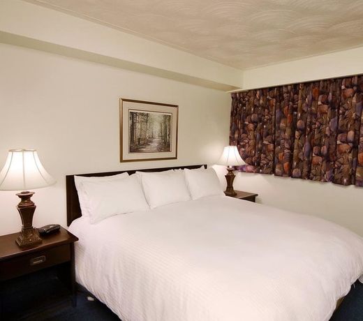 The Business Inn