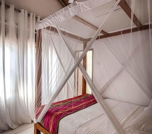 Serendipity House