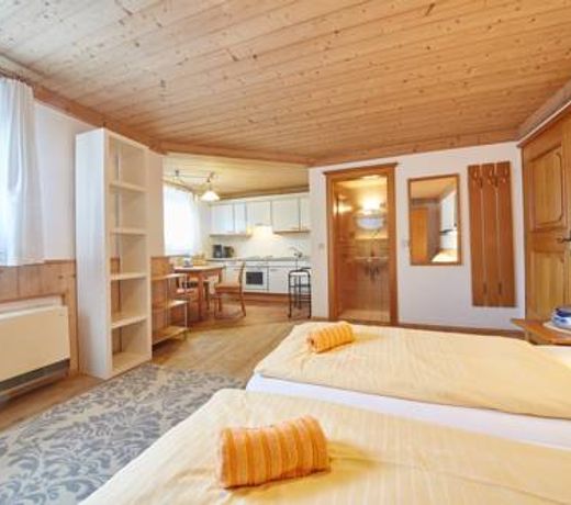 Appartements Living Saalbach by HolidayFlats24