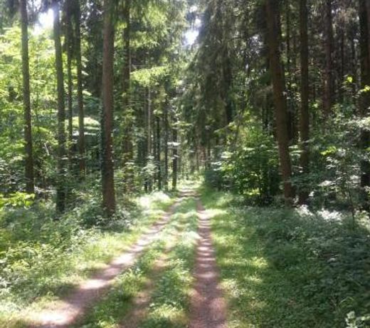 Herberge