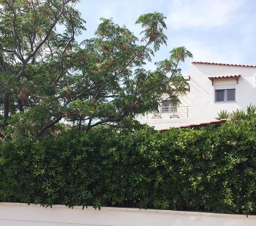 Villa Vivere