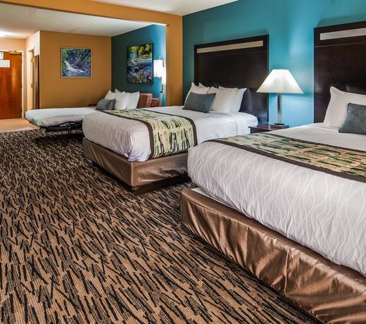 Best Western Plus McDonough Inn & Suites