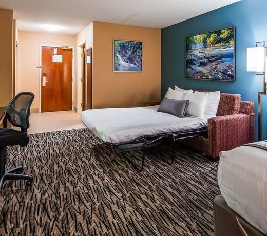 Best Western Plus McDonough Inn & Suites