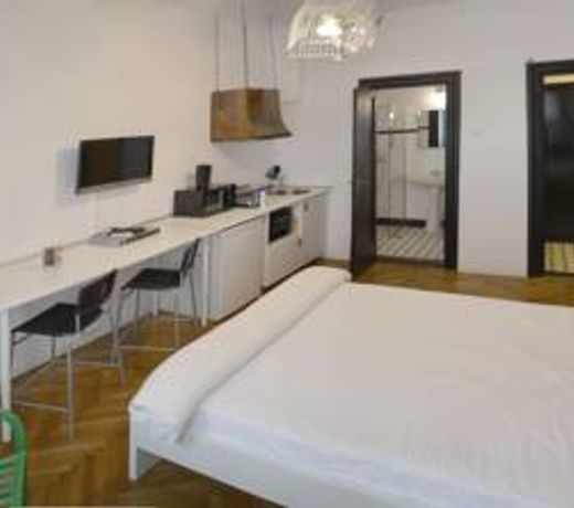 Park Studio Cismigiu Gardens - Quiet Room - Smart Tv