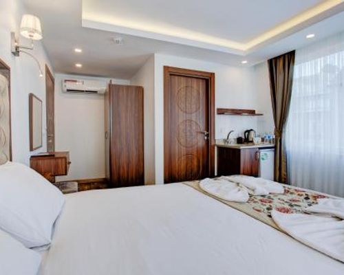 Violin Boutique Hotel - Стамбул - фото 5