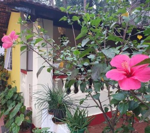 Fatima Guest House