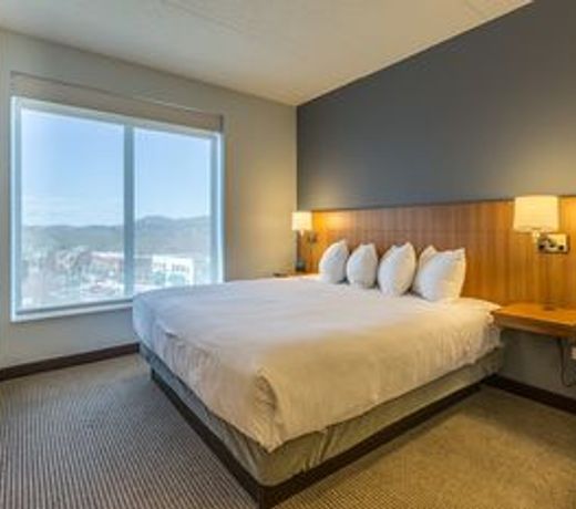 DoubleTree by Hilton Asheville Downtown