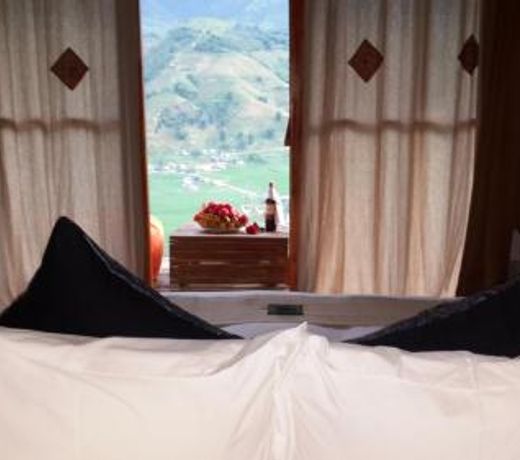Eco Palms House - Sapa Retreat