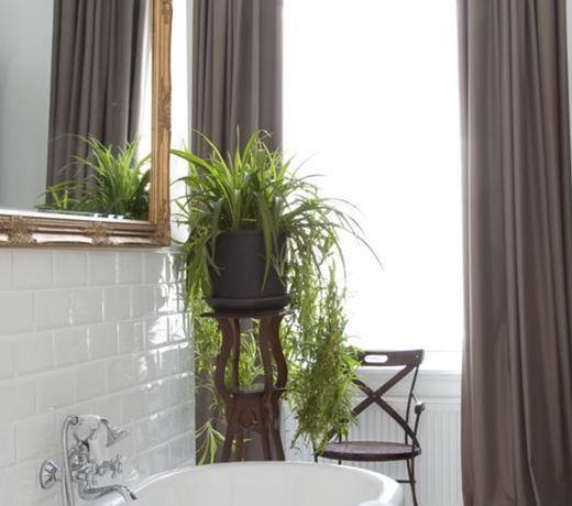 B&B DE WITTE NIJL