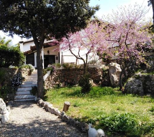 La Casa Di Cosa