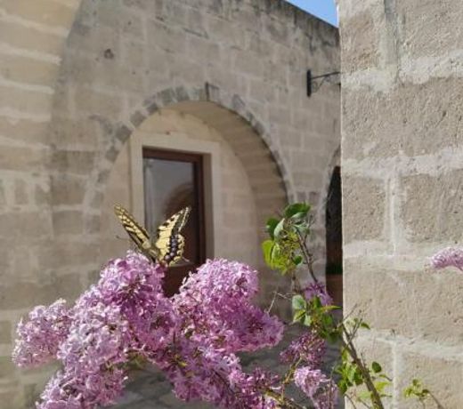 B&B Masseria Cappotto