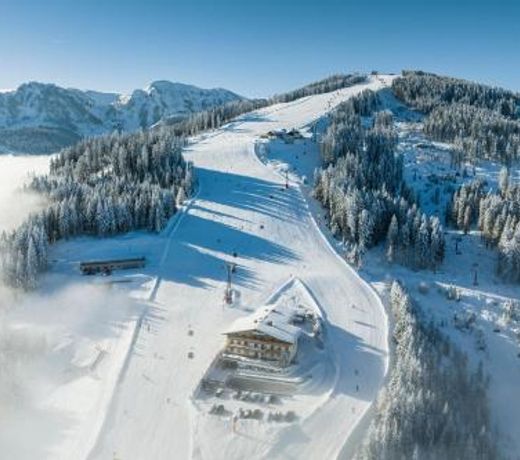 Berggasthof Höllenstein