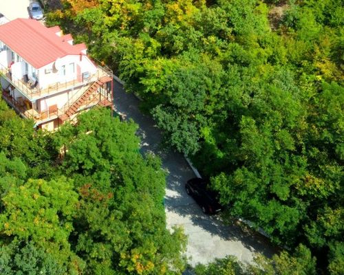 Дача Вернандского / Dacha Vernadskogo Guest House - Ялта - фото 20