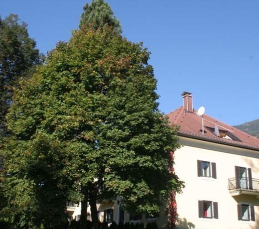 Das Herrenhaus I