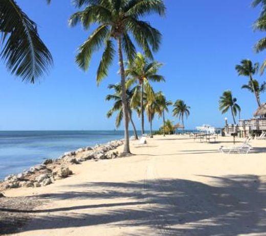Caloosa Cove Resort & Marina