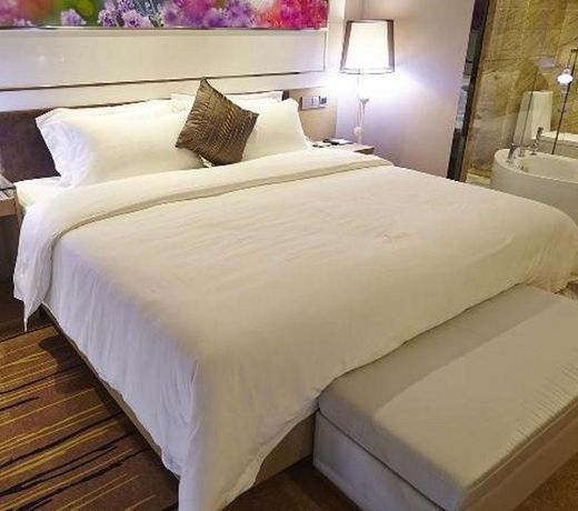 Lavande Hotel Tianjin South Weijin Road Nankai University