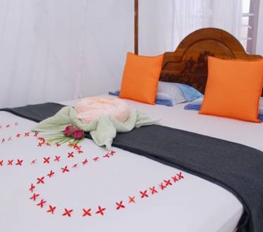 Wonderland Mirissa Lucky Guest Home
