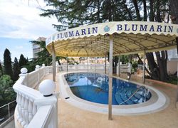 Блюмарин, регион , город Алушта - Фотография отеля №1