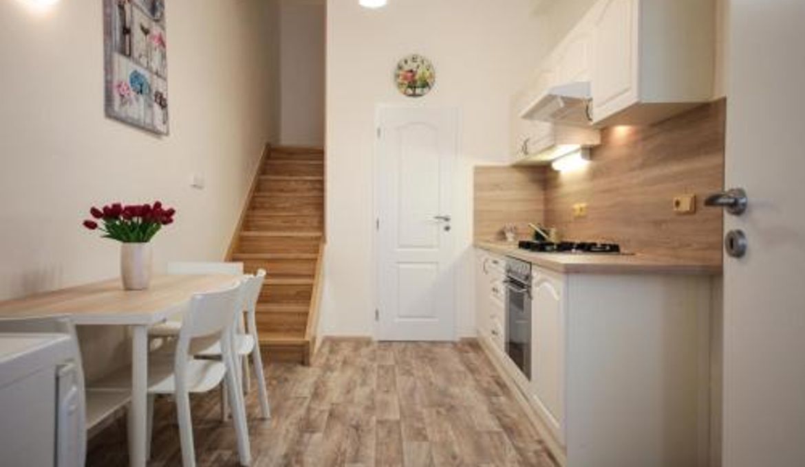 Apartment Opletalka