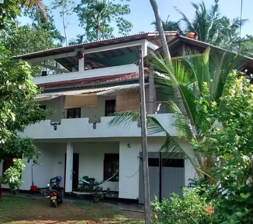 Jungleside House