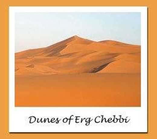 Camel Trekking Company