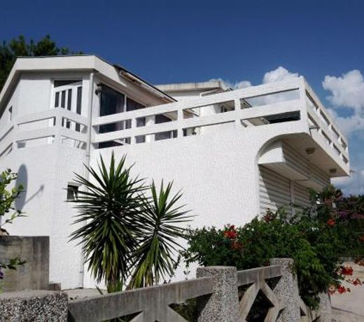 Apartment Zeleny Pojas