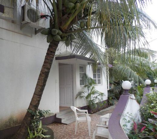 Sugarplum Macedo Palms