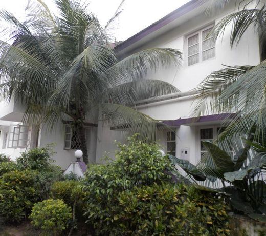 Sugarplum Macedo Palms
