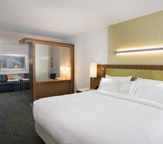 SpringHill Suites by Marriott Wisconsin Dells
