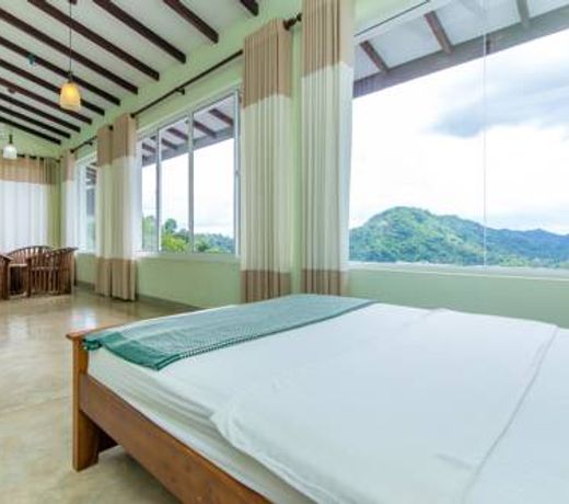 Jack Tree Lodge