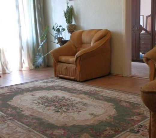 Apartment Artynova 29