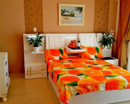 Kemer Classic Apartments - Кемер - фото 10