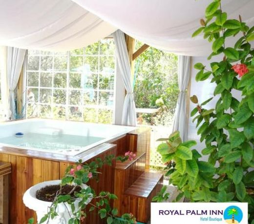 Casa Royal Palm Inn