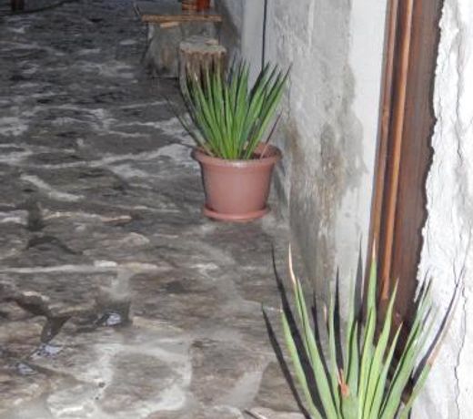 Arami Guest House