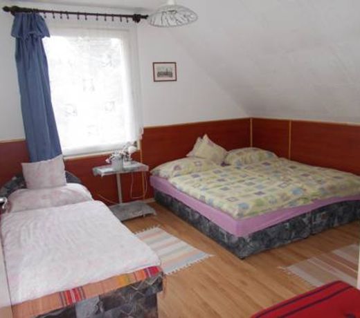 CseppkÅ PanziÃ³